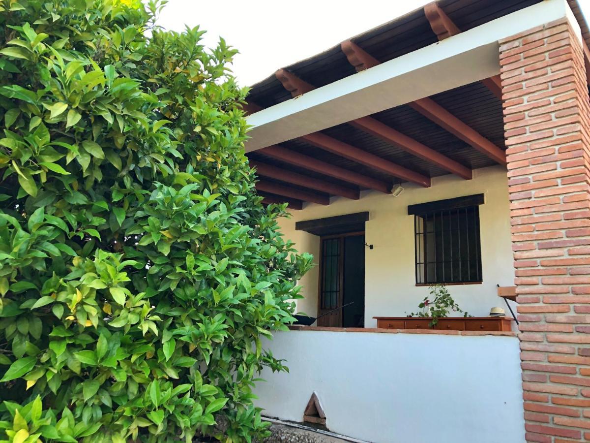 Villa Bonita 内尔哈 外观 照片